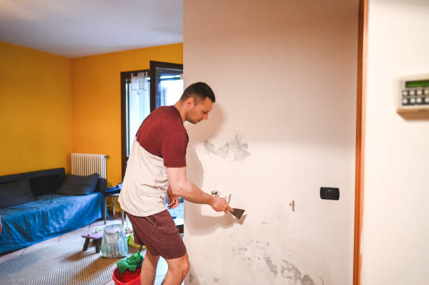 Best Attic Mold Removal  in Brushy, OK